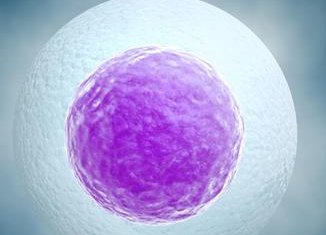 内膜多厚可以正常受孕，医生：8-10 mm