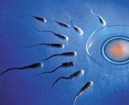 俄罗斯试管有哪些步骤？