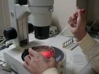 囊胚移植后HCG翻倍慢但有增长可能是着床晚的原因吗？