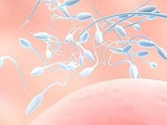 深圳三代试管婴儿报销已暂停？深圳三代试管婴儿报销已暂停多久？