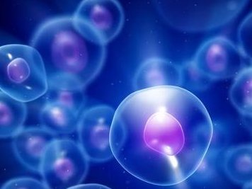 2026安庆市最新男性陪产假有多少天？试管婴儿可以增加产假吗？