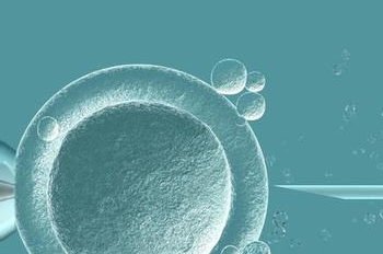 株洲妇幼保健院做试管婴儿要多少钱？(2026株洲试管费用参考)